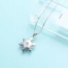 Memorial Urn Necklace Snowflake Pendant with Crystal Pet Dog Ashes Holder Stainless Steel for Woman Cremation Jewelry-C