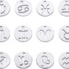 DanLingJewelry 12 pcs 304 Stainless Steel Flat Round Zodiac Sign Charms 12 Constellation Pendants DIY for Jewelry Making (Stainless Steel Color-12x1mm, Hole: 1mm)