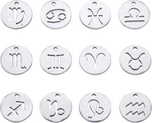 DanLingJewelry 12 pcs 304 Stainless Steel Flat Round Zodiac Sign Charms 12 Constellation Pendants DIY for Jewelry Making (Stainless Steel Color-12x1mm, Hole: 1mm)