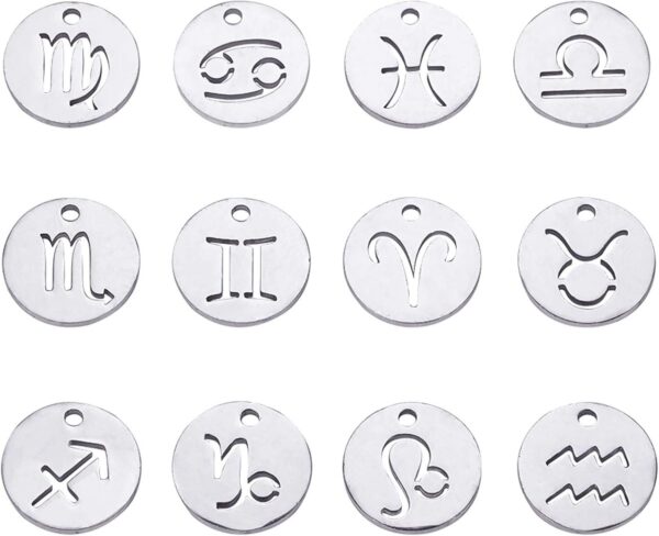DanLingJewelry 12 pcs 304 Stainless Steel Flat Round Zodiac Sign Charms 12 Constellation Pendants DIY for Jewelry Making (Stainless Steel Color-12x1mm, Hole: 1mm)
