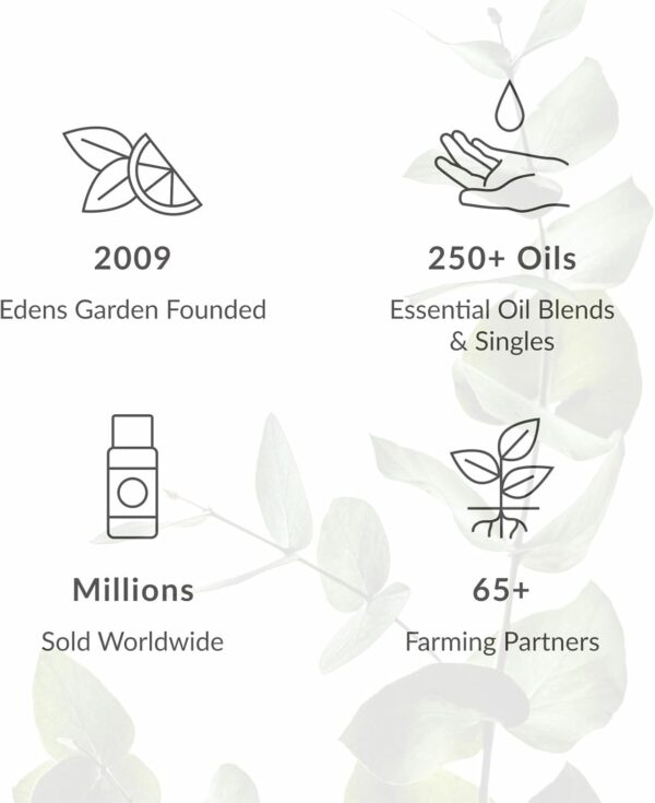 61jgYvxo9vL._AC_SL1500_.jpg Edens Garden Rose Essential Oil Blend – 100% Pure Therapeutic Grade, Aromatherapy, Relaxation, Skin Therapy, Clean Perfume & Fragrance Alternative, Floral Aroma for Diffusers & DIY 10 ml (.33 fl oz)