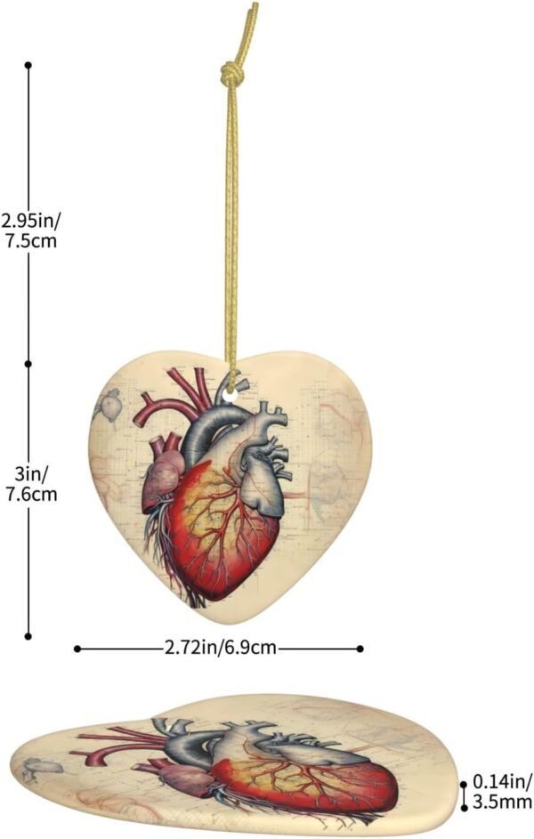 Christmas Ceramic Heart Pendant Decoration for Tree Hanging in Festive Season Human Anatomy Heart Chart Prints