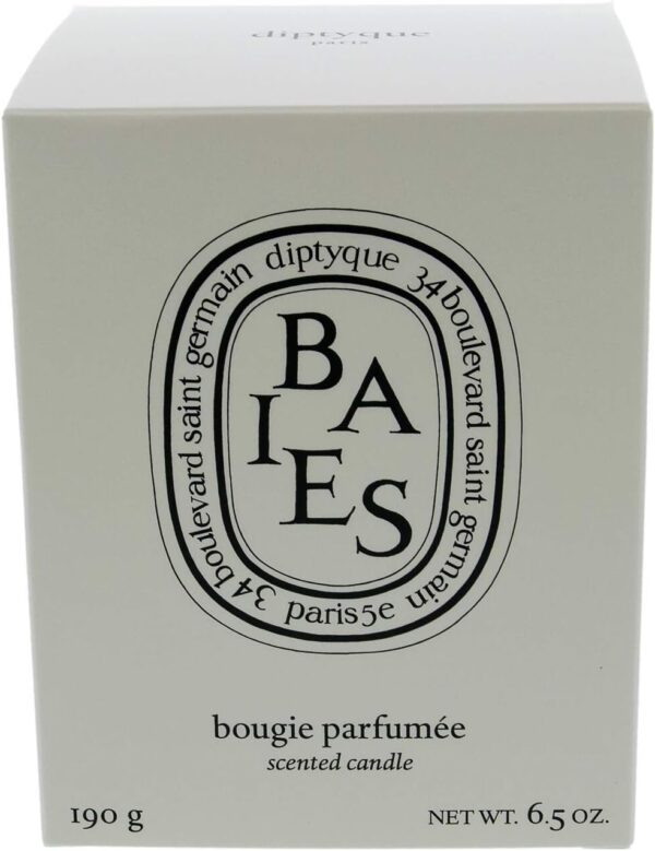 Diptyque Baies Candle-6.5 oz.