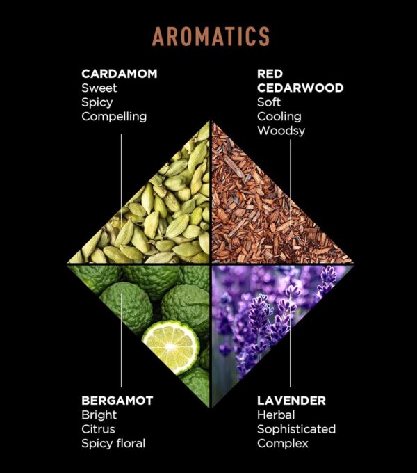 Jack Black Body Collection Set for Men - Mens Body Wash, Pit Boss Men's Deodorant, Body Lotion, Grooming Kit