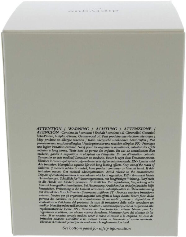 Diptyque Baies Candle-6.5 oz.