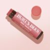 Burt's Bees Lip Tint Balm, Long Lasting 2 in 1 Duo Tinted Balm Formula, Color Infused with Hydrating Shea Butter for a Natural Looking Buildable Finish, Red Dahlia, 1 Tube