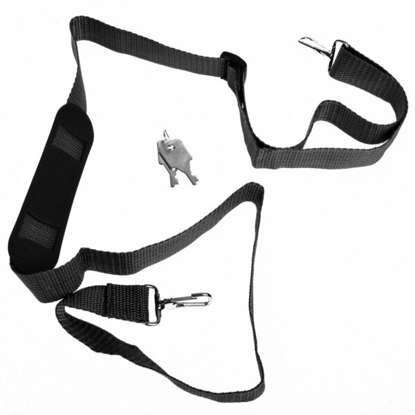 SHANY Essential Pro Makeup Train Case Cosmetic Box Portable Makeup Case Cosmetics Beauty Organizer Jewelry storage with Locks, Multi Compartments Makeup Box and Shoulder Strap - All Black