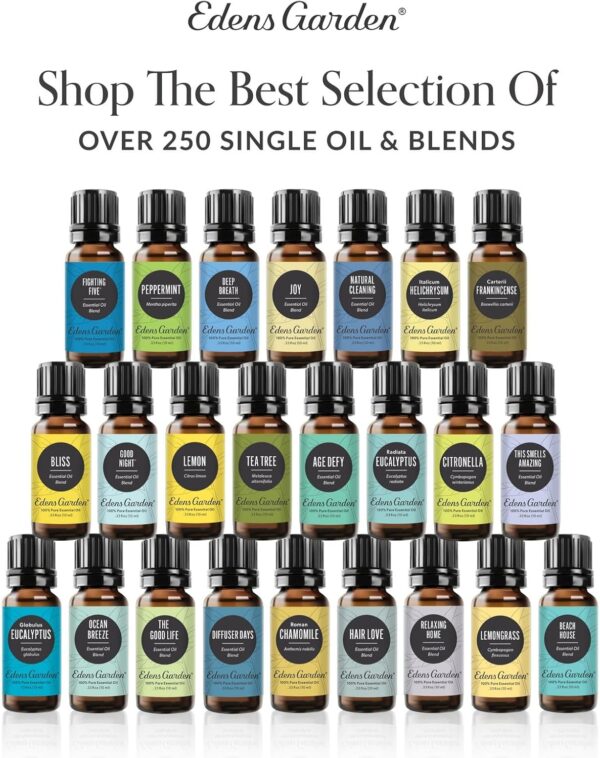 71EefwBvdxL._AC_SL1500_.jpg Edens Garden Rose Essential Oil Blend – 100% Pure Therapeutic Grade, Aromatherapy, Relaxation, Skin Therapy, Clean Perfume & Fragrance Alternative, Floral Aroma for Diffusers & DIY 10 ml (.33 fl oz)