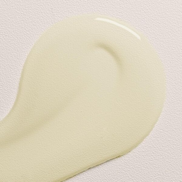 Davines OI Oil | Weightless Hair Oil Perfect for Dry Hair, Coarse & Curly Hair Types | Conrol Frizz | Soft, Shiny Hair