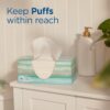 Puffs Plus Lotion Facial Tissues, 8 Family Boxes, 124 Facial Tissues per Box, Allergies and Colds