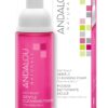 Andalou Naturals 1000 ROSES Gentle Cleansing Foam Face Wash, Hydrating Foaming Facial Cleanser with Rosewater & Aloe for Women & Men, Non Toxic, Vegan