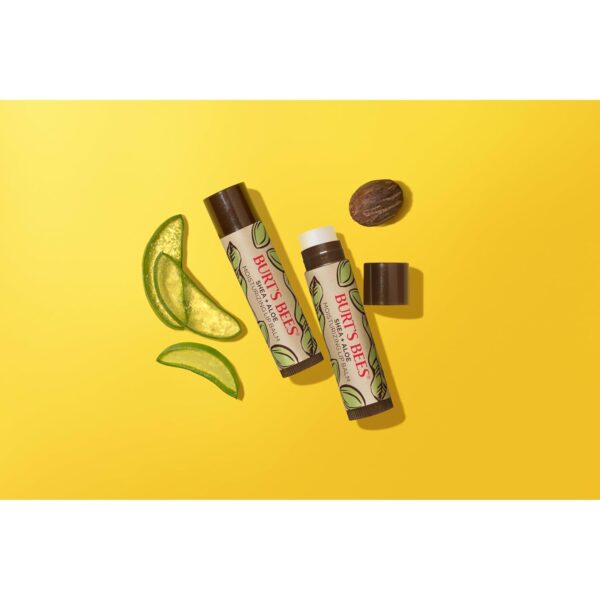 Burt's Bees Shea and Aloe Moisturizing Lip Balm, Lip Moisturizer With Responsibly Sourced Beeswax, Tint-Free, Natural Origin Conditioning Treatment, 4 Tubes, 0.15 oz.