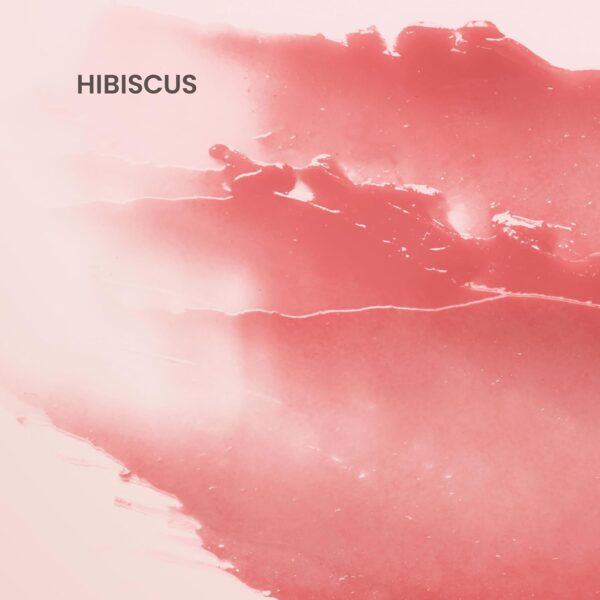 Burt's Bees Lip Tint Balm, Long Lasting 2 in 1 Duo Tinted Balm Formula, Color Infused with Hydrating Shea Butter for a Natural Looking Buildable Finish, Hibiscus, 1 Tube