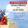Aquaphor Naturally Inspired Lip Repair Stick with Aloe Vera and Natural Shea Butter, Hydrating Lip Balm Immediately Relieves Dryness, 0.17 Oz Stick
