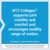 Life Extension NT2 Collagen™, Joint Health Supplement for Joint Comfort & Mobility, Gluten-Free, Non-GMO, 1 Daily, 60 Small Capsules