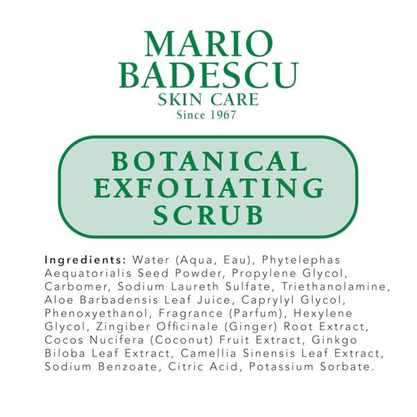 Mario Badescu Botanical Exfoliating Scrub for All Skin Types, Face Scrub with Ivory Palm Seeds & Green Tea Extract, Gentle Exfoliating Face Wash, 3.4 Fl Oz