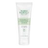 Mario Badescu Botanical Exfoliating Scrub for All Skin Types, Face Scrub with Ivory Palm Seeds & Green Tea Extract, Gentle Exfoliating Face Wash, 3.4 Fl Oz