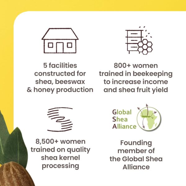 Burt's Bees Shea and Aloe Moisturizing Lip Balm, Lip Moisturizer With Responsibly Sourced Beeswax, Tint-Free, Natural Origin Conditioning Treatment, 4 Tubes, 0.15 oz.