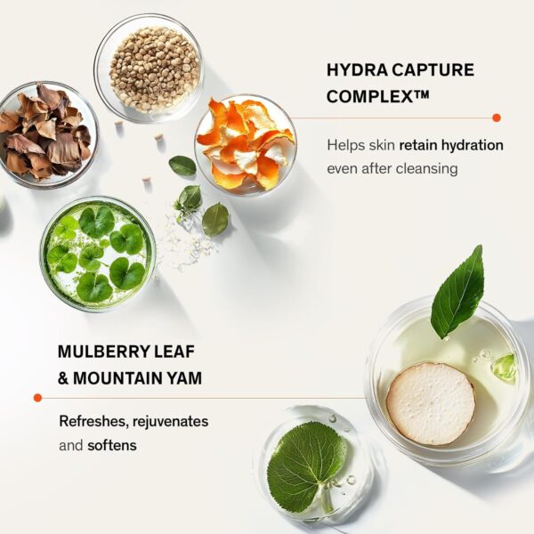 Sulwhasoo Gentle Cleansing Foam - Korean Face Wash for All Skin Types, Moisturizes & Rejuvenates, Removes Dirt & Impurities, Softens Skin, Hydrating Cleanser