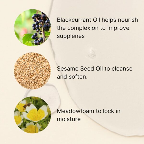 Jurlique Nourishing Cleansing Oil For Face, 1 Count (Pack of 1)