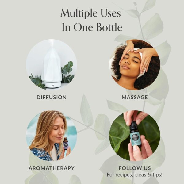 71q1a5HVr2L._AC_SL1500_.jpg Edens Garden Rose Essential Oil Blend – 100% Pure Therapeutic Grade, Aromatherapy, Relaxation, Skin Therapy, Clean Perfume & Fragrance Alternative, Floral Aroma for Diffusers & DIY 10 ml (.33 fl oz)