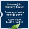 Life Extension NT2 Collagen™, Joint Health Supplement for Joint Comfort & Mobility, Gluten-Free, Non-GMO, 1 Daily, 60 Small Capsules