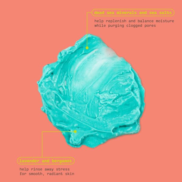 Freeman Anti-Stress Clay Mask, Dead Sea Mineral Face Mask, Lavender & Sea Salt Balance & Calm Skin, Unclog Pores, Facial Mask For All Skin Types, No Harsh Chemicals, 6 fl. oz./175 ml Tube, 1 Count