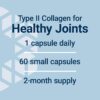 Life Extension NT2 Collagen™, Joint Health Supplement for Joint Comfort & Mobility, Gluten-Free, Non-GMO, 1 Daily, 60 Small Capsules