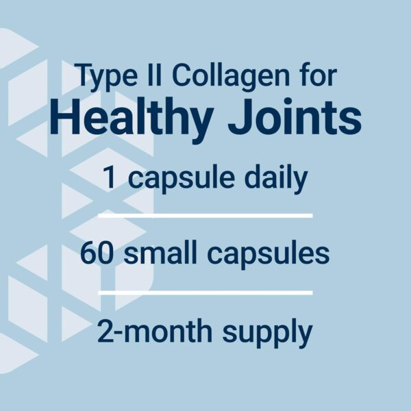 Life Extension NT2 Collagen™, Joint Health Supplement for Joint Comfort & Mobility, Gluten-Free, Non-GMO, 1 Daily, 60 Small Capsules
