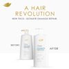 Dove Shampoo Coconut & Hydration for Dry Hair with Bio-Protein Care Technology and Coconut Oil 28 Fl Oz