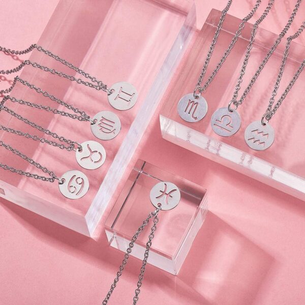 DanLingJewelry 12 pcs 304 Stainless Steel Flat Round Zodiac Sign Charms 12 Constellation Pendants DIY for Jewelry Making (Stainless Steel Color-12x1mm, Hole: 1mm)