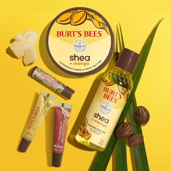 Burt's Bees Shea and Aloe Moisturizing Lip Balm, Lip Moisturizer With Responsibly Sourced Beeswax, Tint-Free, Natural Origin Conditioning Treatment, 4 Tubes, 0.15 oz.