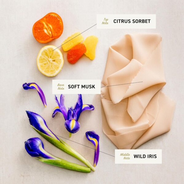 Cremo Wild Iris Musk Skin Moisturizing Body Wash for Women, Notes of Citrus Sorbet, Wild Iris, and Fluffy Musk, 16 Fl Oz