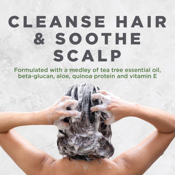 Avalon Organics Scalp Treatment Tea Tree Shampoo, Encourages Scalp Well-Being and Leaves Hair Soft, 11 Fluid Ounces