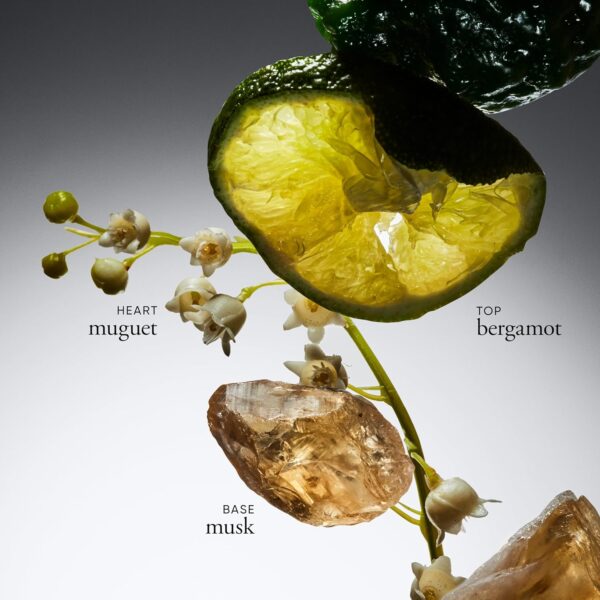 philosophy you're so amazing gift set - 2-pc. amazing grace hydrating shower gel (6oz) & whipped body crème (4oz) - moisturizing bath & body duo for women