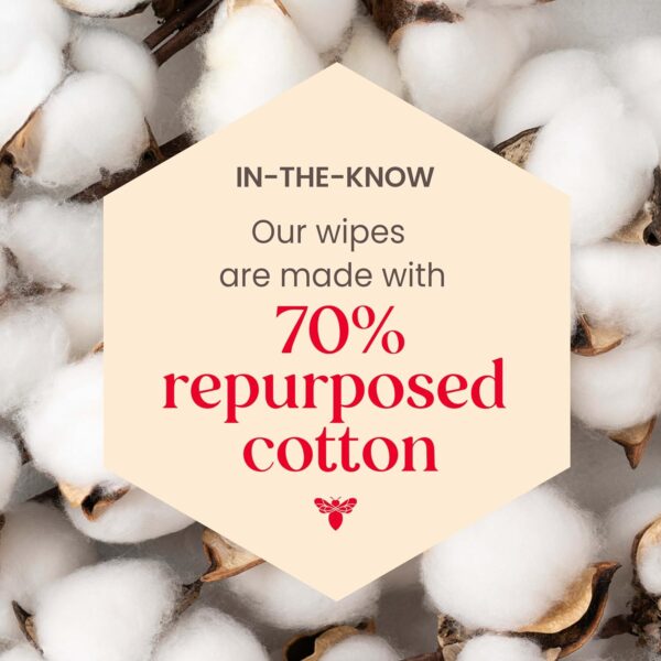 Burt's Bees, Aloe Vera Face Wipes, for Sensitive Skin, Soothing Makeup Remover & Facial Cleansing Towelettes, 30 Count (1 Pack)