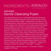Andalou Naturals 1000 ROSES Gentle Cleansing Foam Face Wash, Hydrating Foaming Facial Cleanser with Rosewater & Aloe for Women & Men, Non Toxic, Vegan