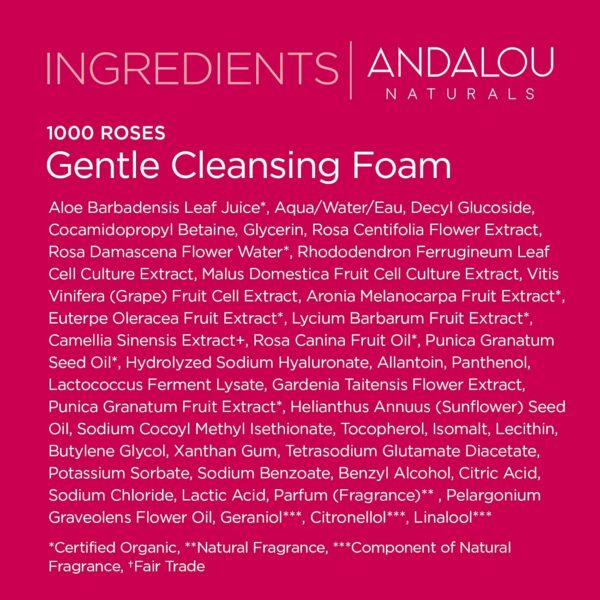 Andalou Naturals 1000 ROSES Gentle Cleansing Foam Face Wash, Hydrating Foaming Facial Cleanser with Rosewater & Aloe for Women & Men, Non Toxic, Vegan