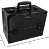 SHANY Essential Pro Makeup Train Case Cosmetic Box Portable Makeup Case Cosmetics Beauty Organizer Jewelry storage with Locks, Multi Compartments Makeup Box and Shoulder Strap - All Black