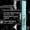 L'Oreal Paris Paradise Big Deal Waterproof Mascara, Volumizing and Lengthening Formula, Buildable, Clump Resistant, Black Mascara, 0.33 Fl Oz