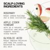 Pacifica Scalp Detox Tonic – Rosemary Apple Cider Scalp Exfoliator - Scalp Scrub w/ Salicylic Acid for Clarifying Build Up & Purifying - Itchy, Dry Scalp Treatment , Vegan & Cruelty-Free, 5 oz