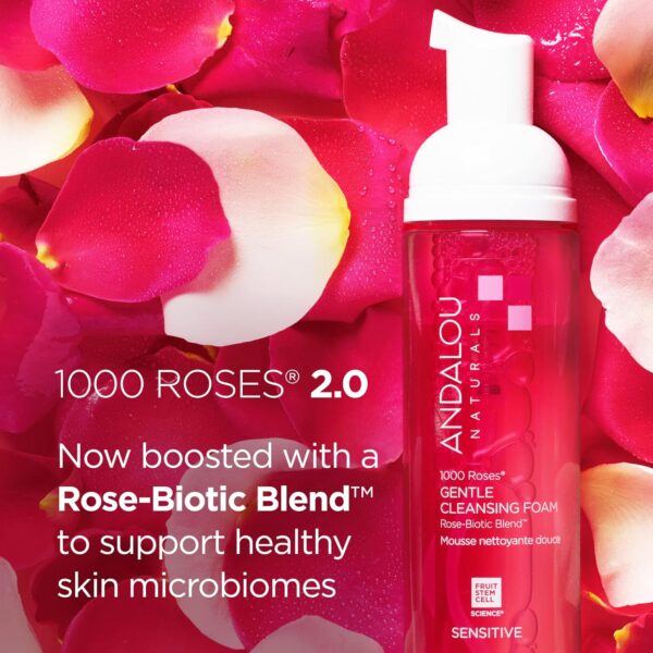Andalou Naturals 1000 ROSES Gentle Cleansing Foam Face Wash, Hydrating Foaming Facial Cleanser with Rosewater & Aloe for Women & Men, Non Toxic, Vegan