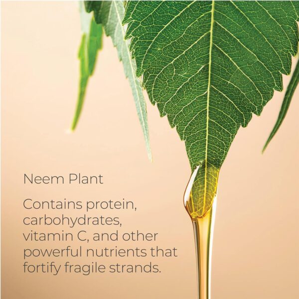 L'ANZA Healing Strength Neem Plant Silk Hair Serum, Neem Oil Anti Frizz Damaged Hair Treatment, Nourishes, Strengthens, Boosts Shine, and Prevents Breakage From Split Ends, New Bottle (3.4 Fl Oz)