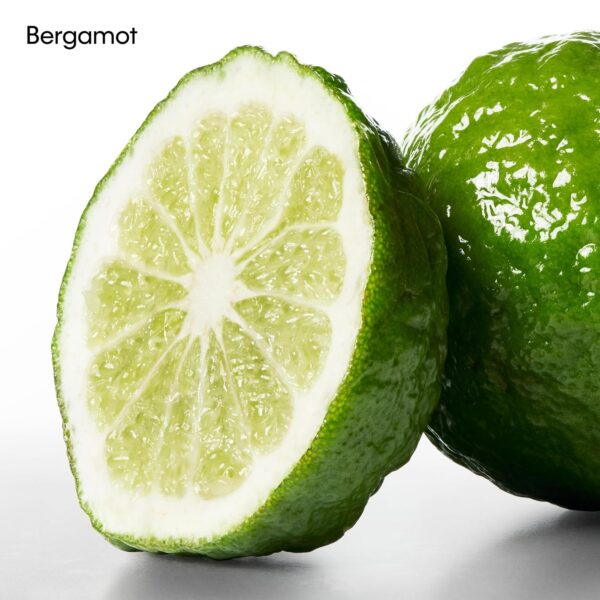 Calvin Klein One Body Lotion for Men, 8.5 Ounce