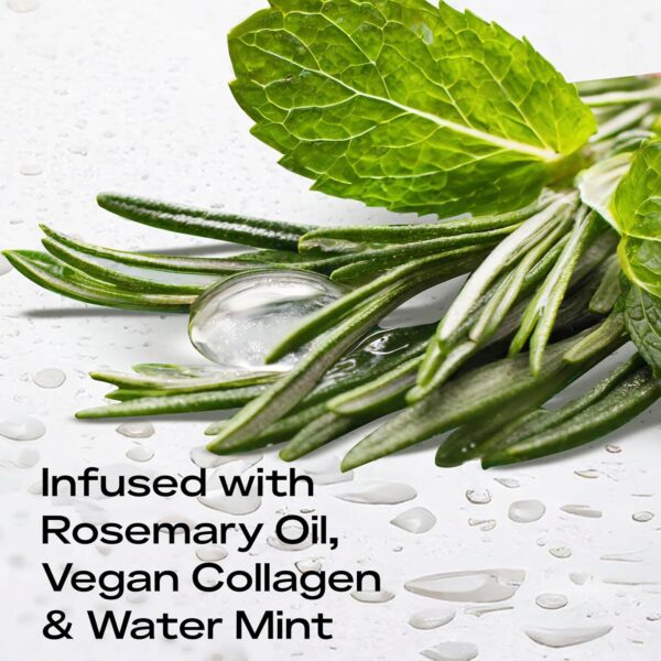 SheaMoisture Strengthening Scalp & Hair Oil Rosemary & Vegan Collagen to Promote Length Retention & Invigorate the Scalp, with ScalpBoost Technology, 2 oz