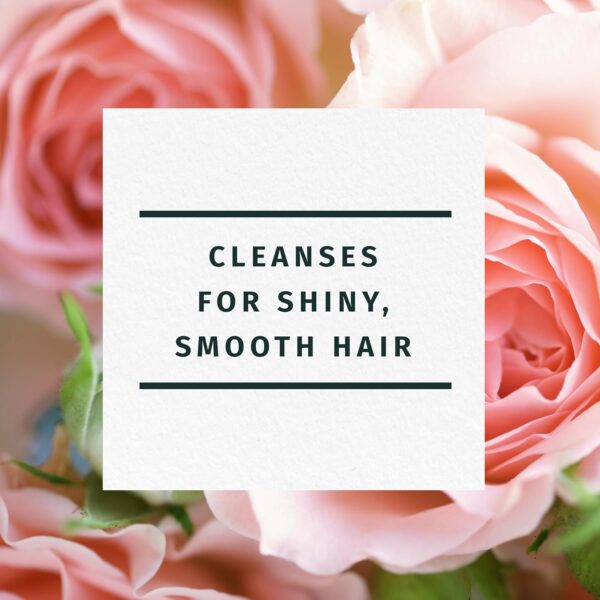 Herbal Essences Rose Hips Shampoo - Smooth, Shiny Hair with Vitamin E & Jojoba, Safe for Color Treated Hair, Floral Scent, Cruelty-Free, Dermatologist-Tested, 29.2 Fl Oz