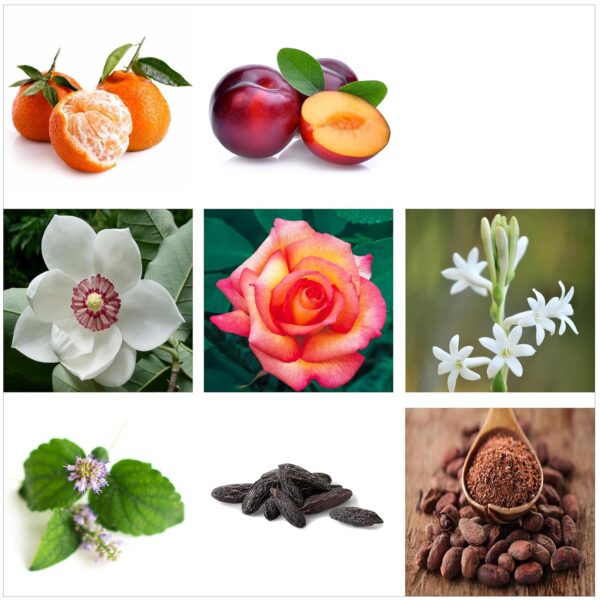 Rachel Zoe Warrior Scented Candle - with Fruity, Floral Perfume Oil Fragrance - 45 Hour Burn - Jar Candles with Soy Wax and Cotton Wick - 6.3 oz