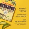 Burt's Bees Shea and Aloe Moisturizing Lip Balm, Lip Moisturizer With Responsibly Sourced Beeswax, Tint-Free, Natural Origin Conditioning Treatment, 4 Tubes, 0.15 oz.