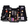 SHANY Essential Pro Makeup Train Case Cosmetic Box Portable Makeup Case Cosmetics Beauty Organizer Jewelry storage with Locks, Multi Compartments Makeup Box and Shoulder Strap - All Black