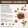 Viva Naturals Organic Jojoba Oil - Pure Cold-Pressed for Skin and Hair, USDA Certified Face Moisturizer, 4 fl. oz